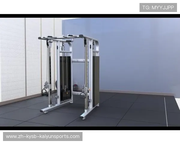 飞鸟商用健身器材助力健身房品质升级 飞鸟商用健身器材助力健身房品质升级