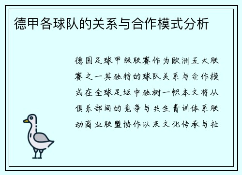 德甲各球队的关系与合作模式分析